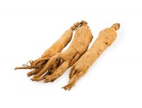 /album/a2/zensen-jpg/