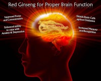 /album/a2/a577419-162156417271838-1700396844-n-jpg/